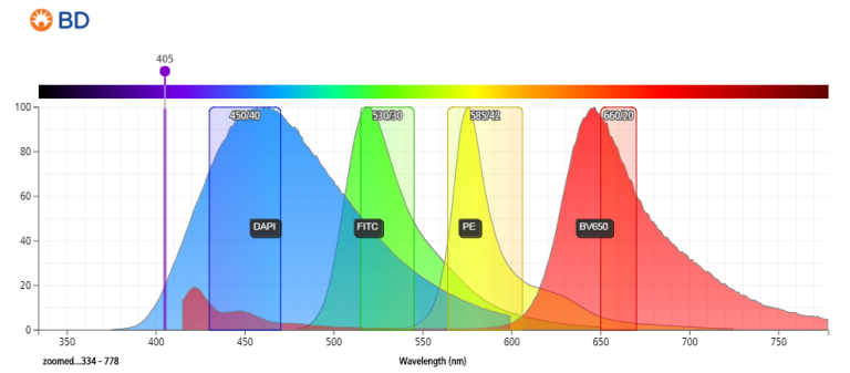 Cell Viability